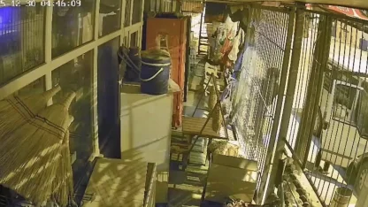 Çalıntı araçla geldiler, marketi soydular: 1 şüpheli tutuklandı