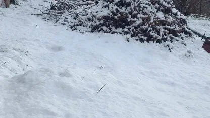 Çameli’nde kar kalınlığı 20 santime yaklaştı