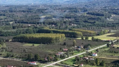 Çarşamba Ovası meyvede zirvede