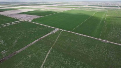 Çiftçilere hububata hastalık gelmeden erken müdahale uyarısı