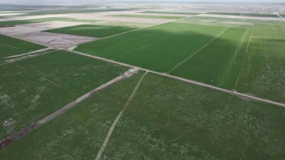 Çiftçilere hububata hastalık gelmeden erken müdahale uyarısı