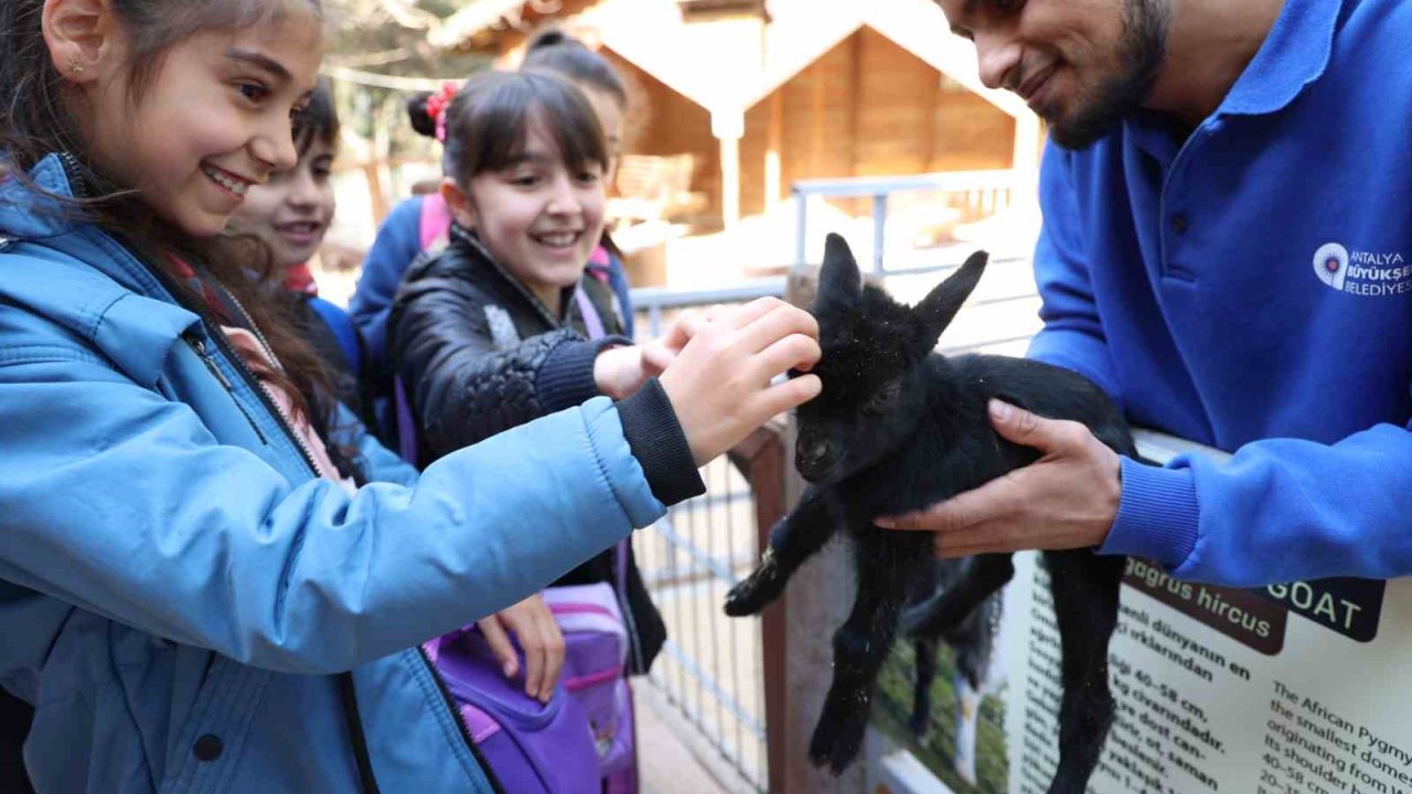 Çocuklar hayvanları ve yaban hayatını tanıma fırsatı buldu