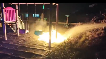 Çocukların yaktığı ateş parkı alev topuna çevirdi