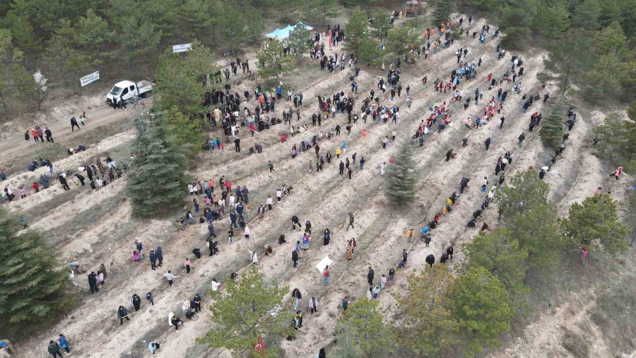 Çorum’da yüzlerce fidan toprakla buluştu