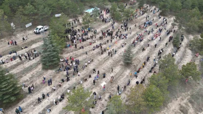 Çorum’da yüzlerce fidan toprakla buluştu