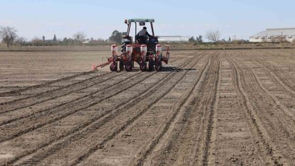 Çukurova’nın bereketli toprakları mısır ve ayçiçeği tohumları ile buluştu