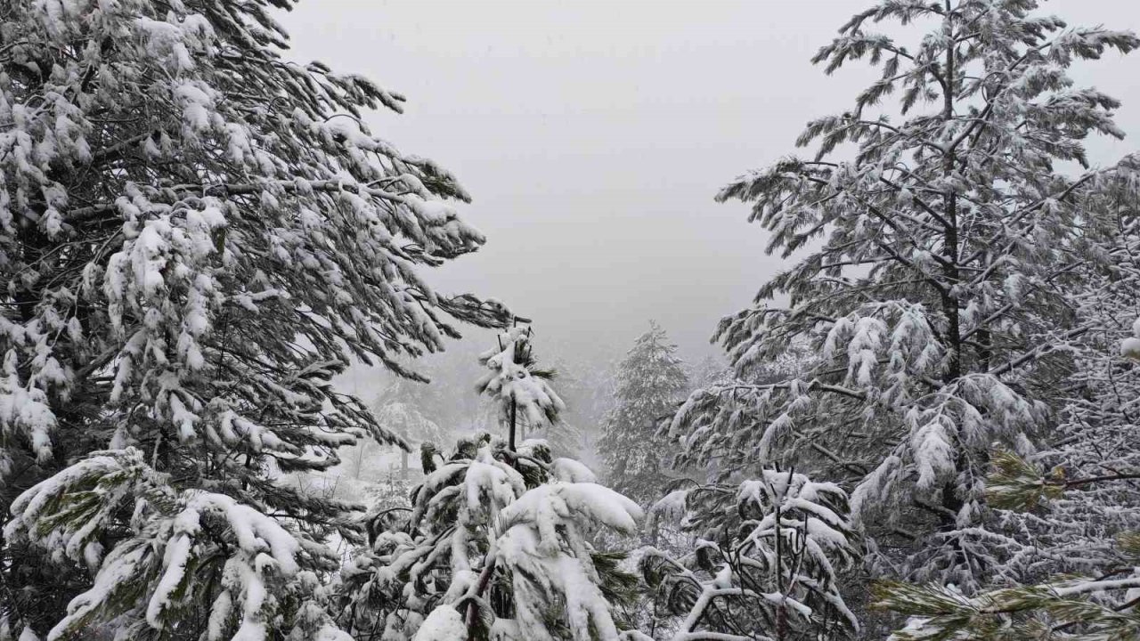 Demirci’nin yüksek kesimlerinde kar yağışı etkili oluyor