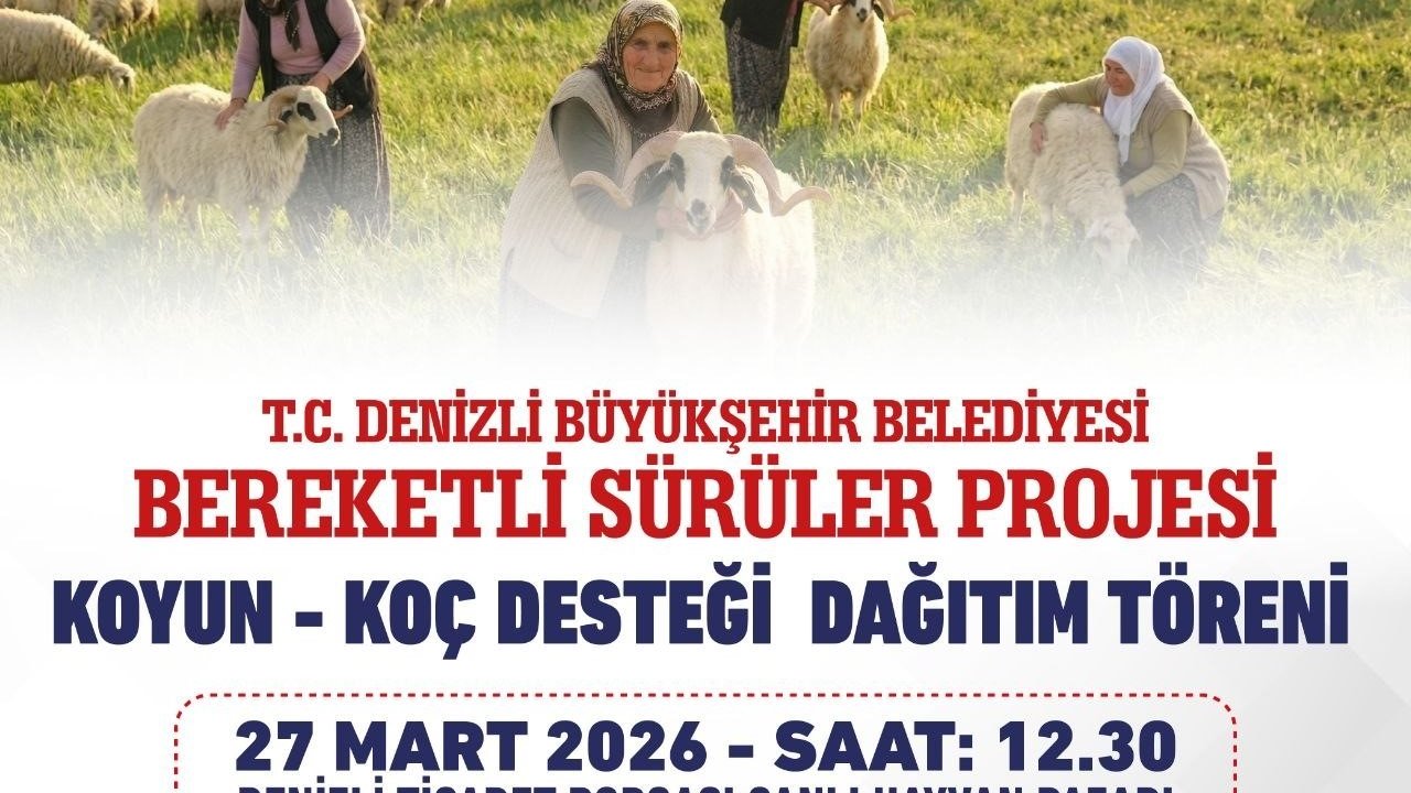 Denizli Büyükşehir 582 üreticiye 1200 adet koyun ve koç dağıtacak