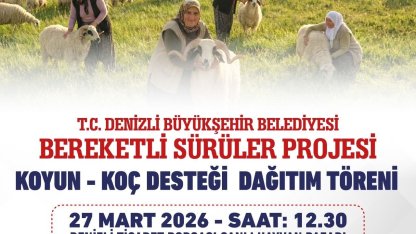 Denizli Büyükşehir 582 üreticiye 1200 adet koyun ve koç dağıtacak