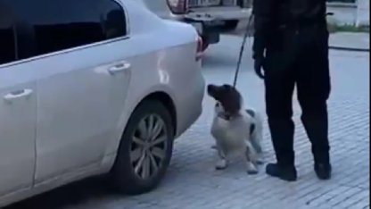 Denizli’de narkotik operasyonunda 6 kilo esrar ele geçirildi