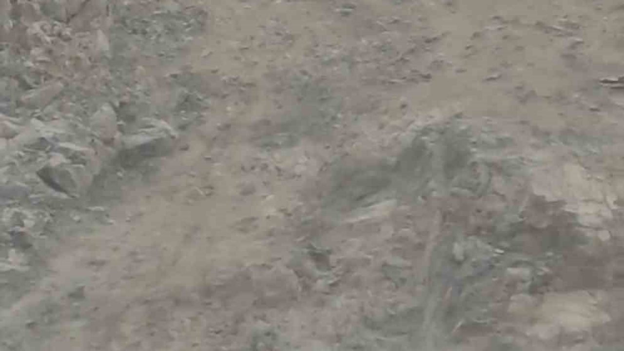 Diyarbakır’da nesli tükenme tehlikesi altında bulunan dağ keçileri sürü halinde görüntülendi