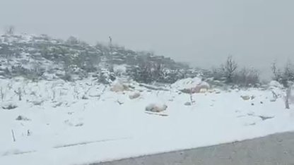 Diyarbakır’ın iki ilçesinde kar yağışı