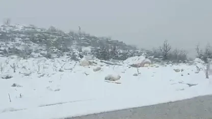 Diyarbakır’ın iki ilçesinde kar yağışı