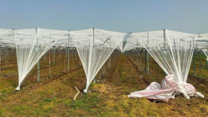 Dolu korkusuna fileli önlem