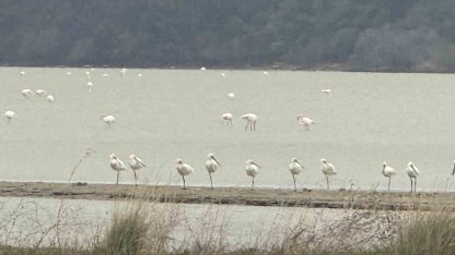 Eceabat Kaymakamı Kerem Yenigün’den Suvla Bölgesinde Doğa İncelemesi