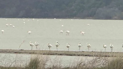 Eceabat Kaymakamı Kerem Yenigün’den Suvla Bölgesinde Doğa İncelemesi