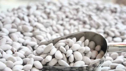 Elazığ’ın ‘Beyaz altını’ badem şekeri