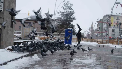 Erzurum’a kar geri geliyor