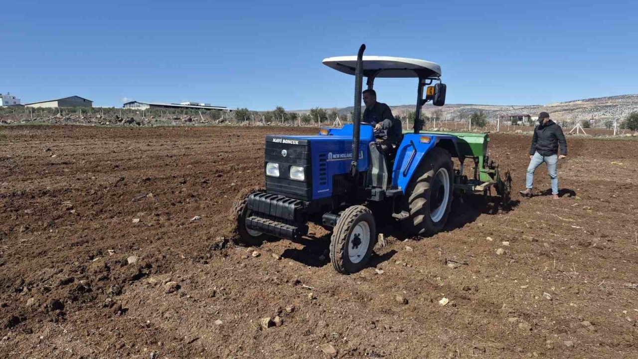 Gaziantep’te nohut ekimi başladı