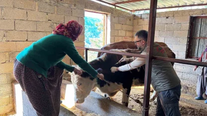 Gazipaşa’da hayvan sağlığı için sahada yoğun mesai