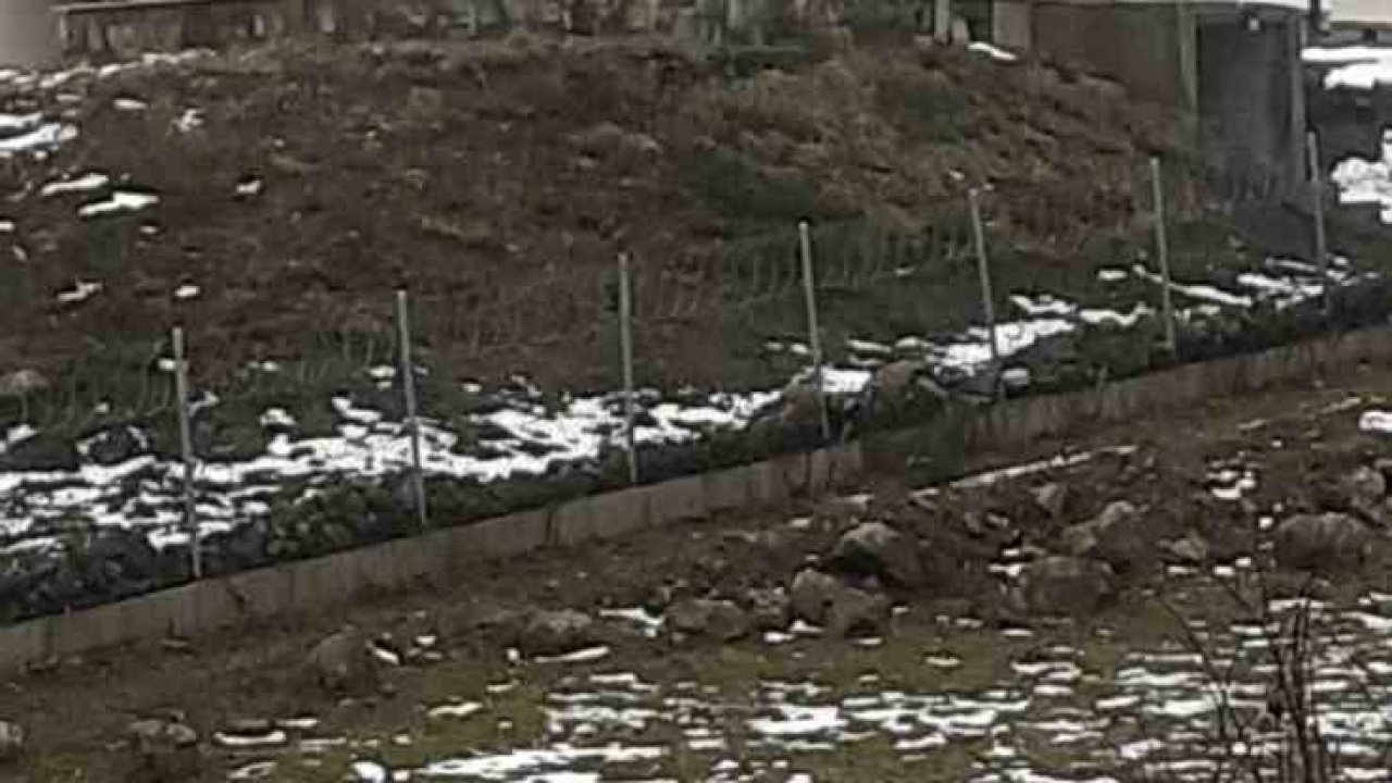 Göç yolculuğundaki leylekler Sakarya’da mola verdi