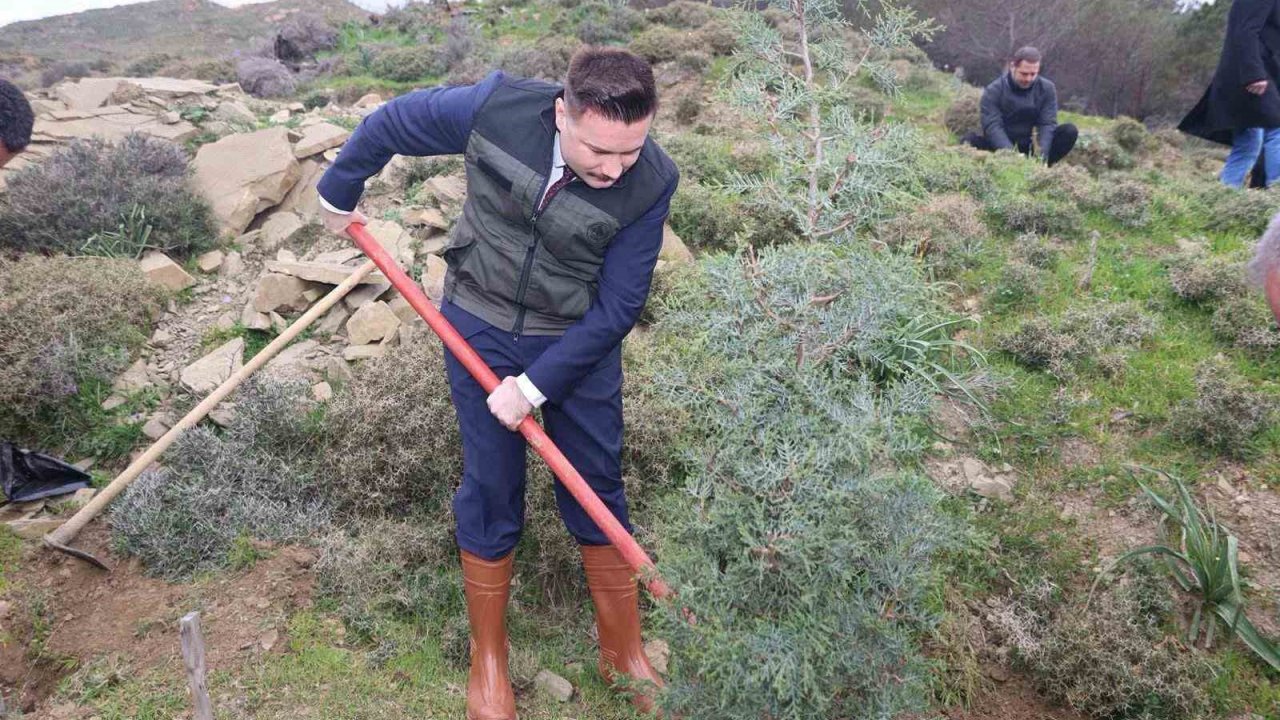 Gökçeada’da fidanlar toprakla buluştu