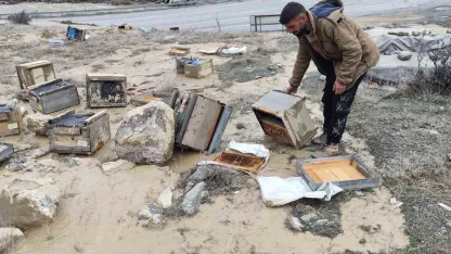 Hakkari’de selde 150 kovan zarar gördü