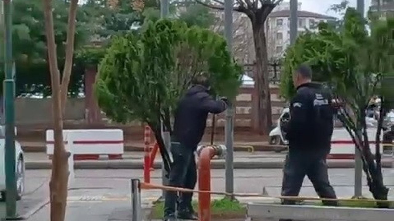 Hastane bahçesindeki madde bağımlısı görenleri korkuttu