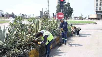 Hatay Büyükşehir Belediyesi bitkide dışa bağımlılığı en aza indirmeyi hedefliyor
