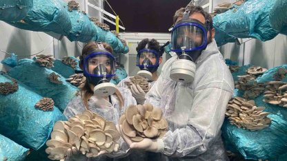 Hobi olarak başladığı mantar yetiştiriciliğinde günde 1 tona yakın hasat elde ediyor