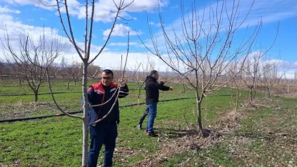 Iğdır’da çiftçilere uygulamalı meyve ağacı budama eğitimi