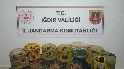 Iğdır’da kaçak keklik avcılarına 175 bin TL ceza