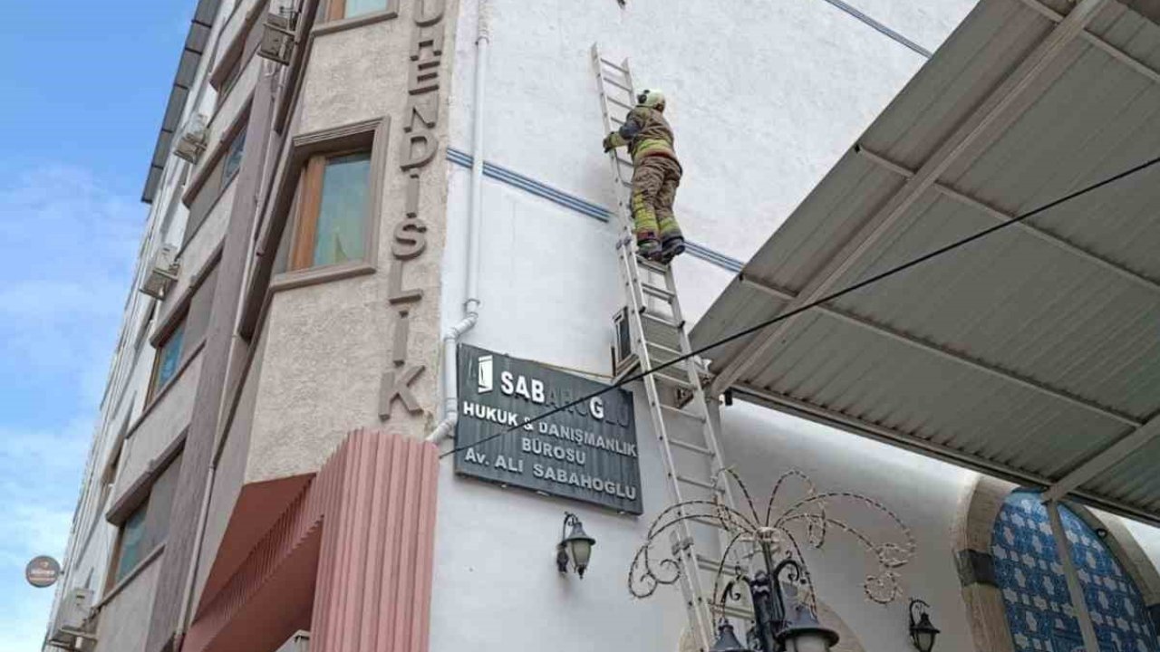 İskenderun’da ipe dolanan kuş kurtarıldı