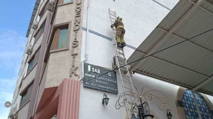 İskenderun’da ipe dolanan kuş kurtarıldı