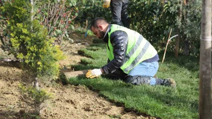 Kağıthane’de yeşil alanlarda bakım ve düzenleme çalışmaları sürüyor