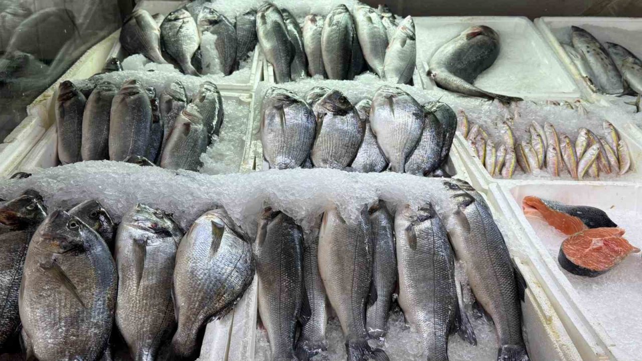 Kahramanmaraş’ta su ürünleri av yasağı başladı