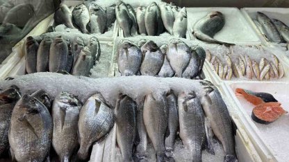 Kahramanmaraş’ta su ürünleri av yasağı başladı