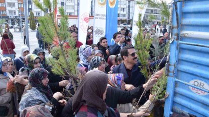 Karapınar’da ağaçlandırma etkinliği