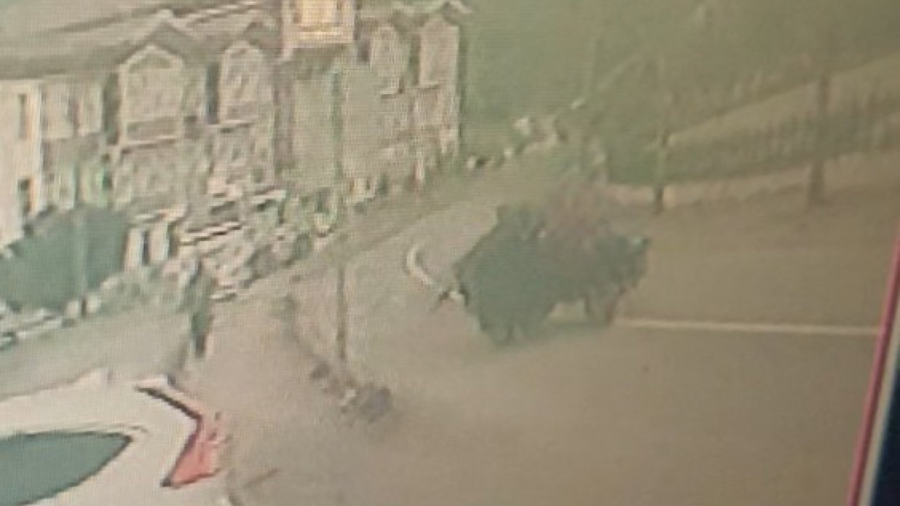 Kastamonu’da lastiği fırlayan tarım aracı takla attı: 1 yaralı