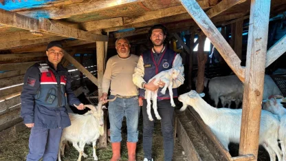 Kaybolan 50 küçükbaş hayvan dron destekli aramayla bulundu