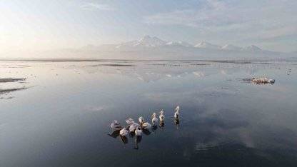 Kayseri’nin ilk pelikanları geldi