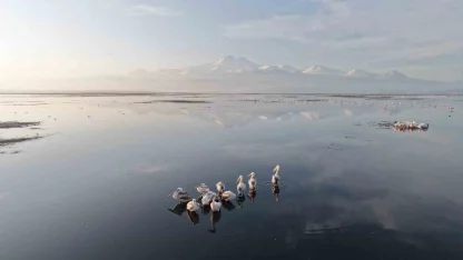 Kayseri’nin ilk pelikanları geldi