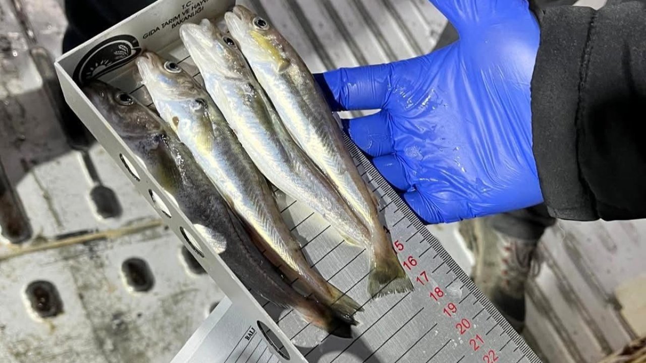 Kırklareli’nde su ürünleri nakil araçlarına sıkı denetim