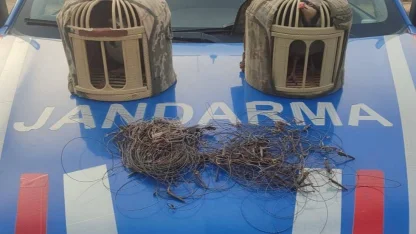 Kırşehir’de kaçak keklik avcıları yakalandı