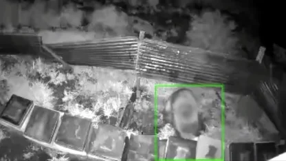 Kış uykusundan kalkan ayı, kovanlara saldırdı