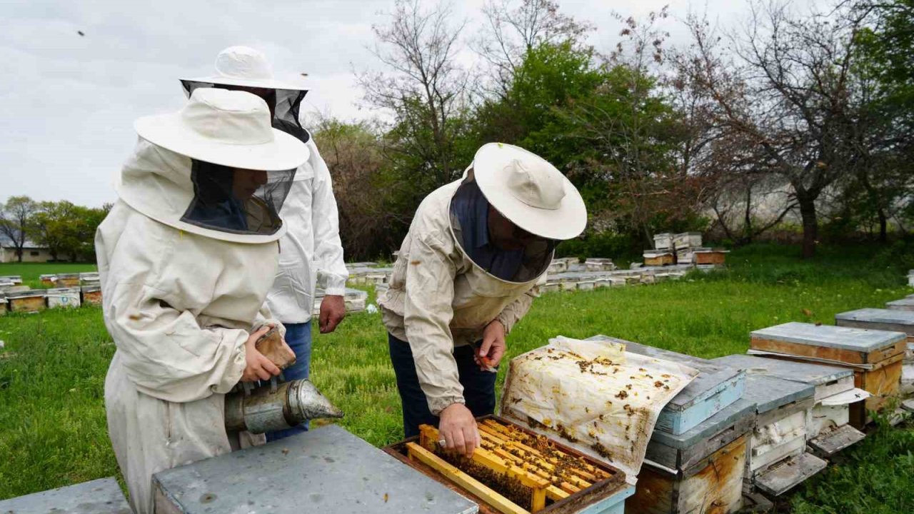 Kış uykusundan uyanan arılar Erzincan’da yeni sezona hazırlanıyor