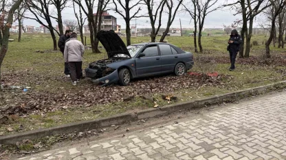 Kontrolden çıkan otomobil ağaçlık alana daldı: 1 yaralı