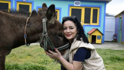 Kuşadası’ndan saplandığı çamurdan kurtarılan eşek koruma altına alındı