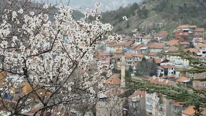 Kütahya’da badem ağaçları çiçek açtı