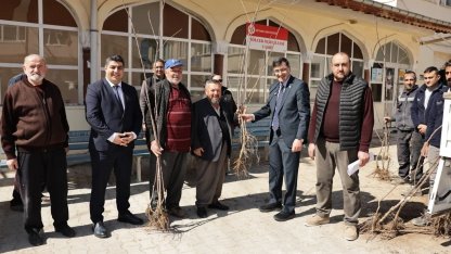Kütahya’da yerel kiraz türleri yeniden toprakla buluşuyor